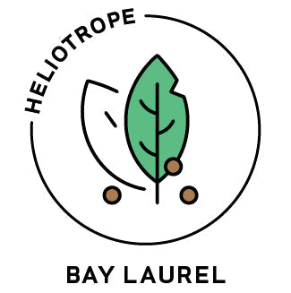Essential Oil - Bay Laurel by Heliotrope San Francisco