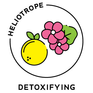Essential Oil Blend Detoxifying (Grapefruit Geranium) by Heliotrope San Francisco