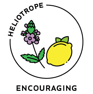 Essential Oil Blend Encouraging (Verbena Lemon) by Heliotrope San Francisco