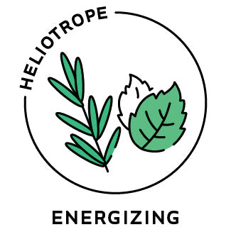Essential Oil Blend Energizing (Rosemary Mint) by Heliotrope San Francisco