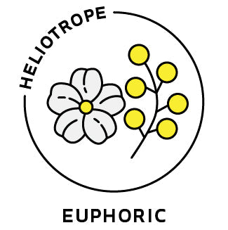 Essential Oil Blend Euphoric (Jasmine Mimosa) by Heliotrope San Francisco