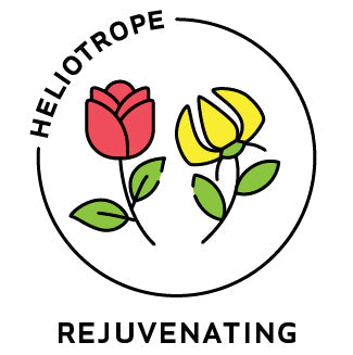 Essential Oil Blend Rejuvenating (Rose Ylang Ylang) by Heliotrope San Francisco