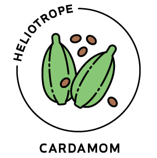 Essential Oil - Cardamom (Organic) by Heliotrope San Francisco