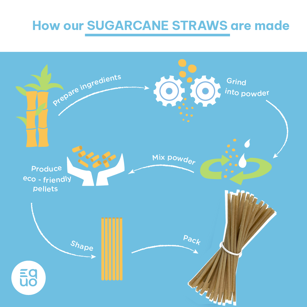 Sugarcane Drinking Straws (Wholesale/Bulk), Cocktail Size - 1000 count by EQUO