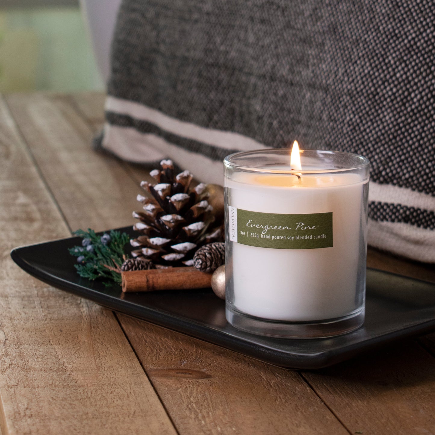 Evergreen Pine 9oz Candle by Andaluca Home
