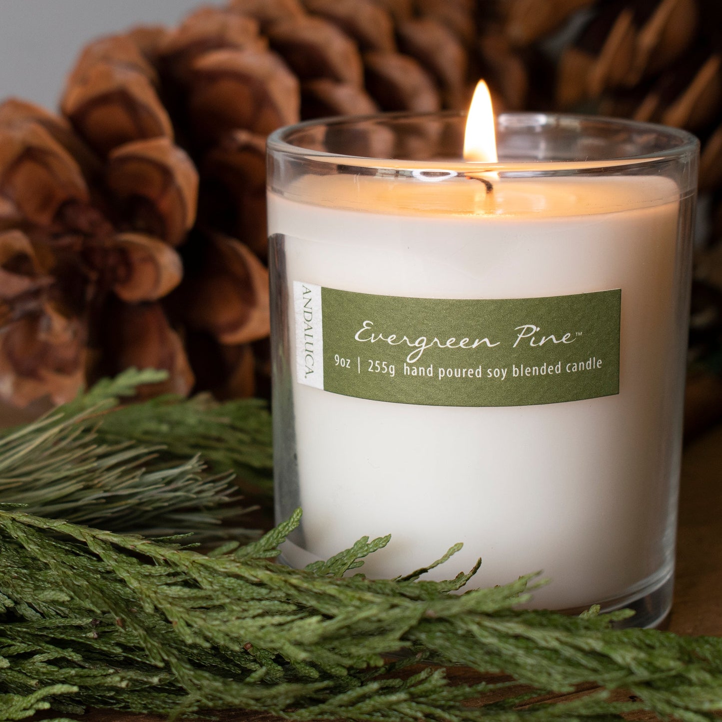 Evergreen Pine 9oz Candle by Andaluca Home