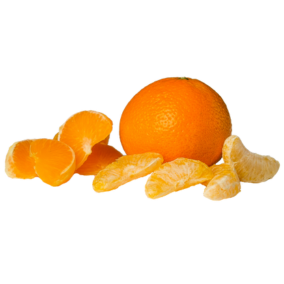 Freeze Dried Mandarin Snack by The Rotten Fruit Box