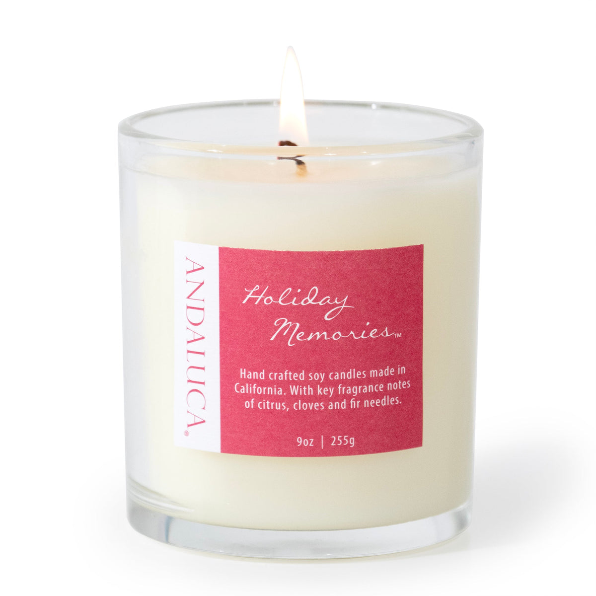 Holiday Memories 9oz Candle by Andaluca Home