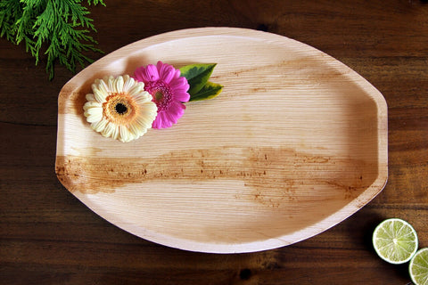 Disposable Dinner Plates, 13" Oval Palm Leaf Plates for Charcuterie, 25 PACK by ecozoi