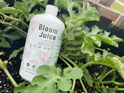 Bloom Power Bundle by Elm Dirt