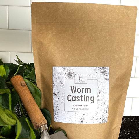 Worm Casting by Elm Dirt