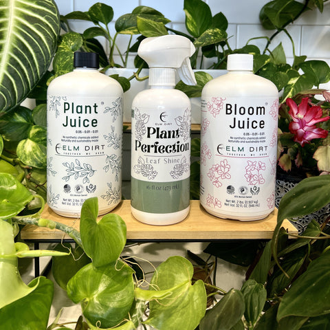 Plant Care Kit by Elm Dirt