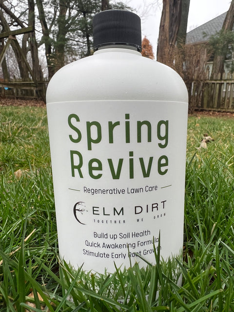 Regenerative and Sustainable Lawn Care by Elm Dirt