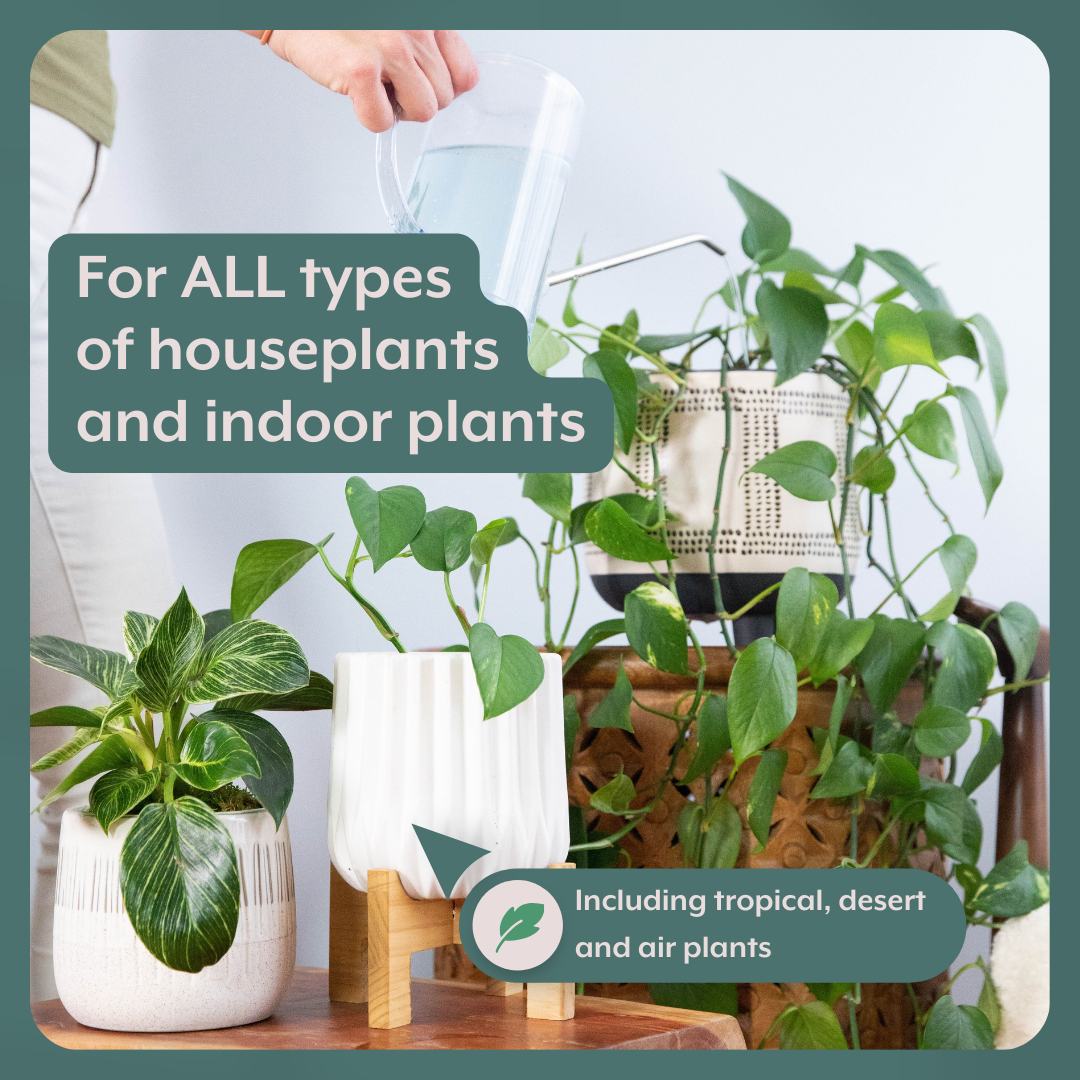 The Houseplant GROW Bundle (Plant Food + ProBiotics + Watering Can) by Instant Plant Food