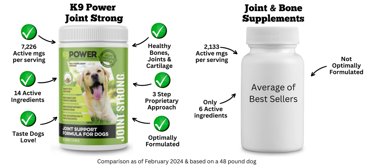 Premium Joint & Bone Dog Supplement