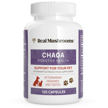 Organic Chaga Extract Capsules for Pets by Real Mushrooms