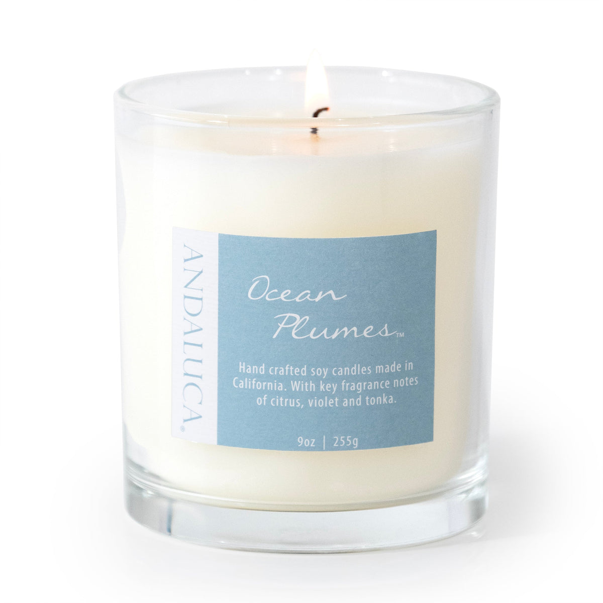 Ocean Plumes 9oz Candle by Andaluca Home