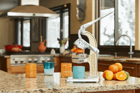 Artisan Citrus Juicer - Small by Verve Culture
