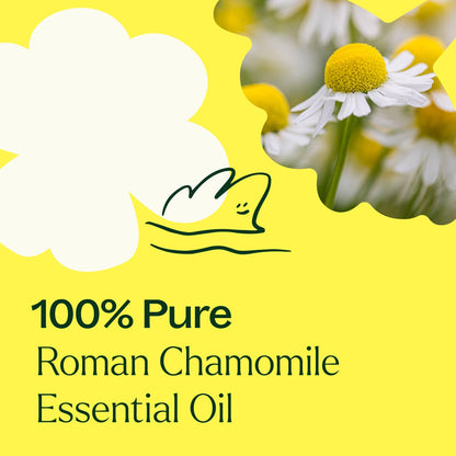 Roman Chamomile Essential Oil