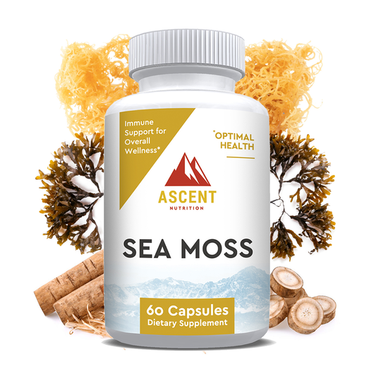 Sea Moss by Ascent Nutrition