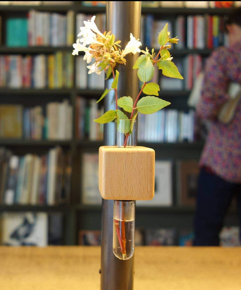 VICE Single Magnetic Cube Propagation Vase by Bumble Plants