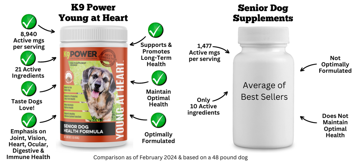 Premium Senior Dog Supplement