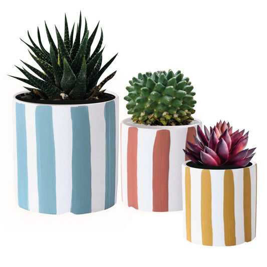 Playful Planters Set of 3 by ClaudiaG Collection
