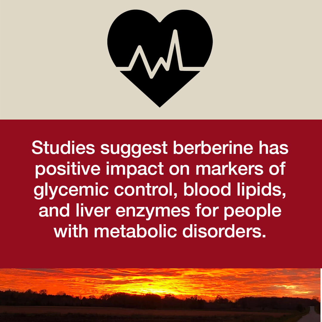 Berberine Plus by Dr Emil Nutrition