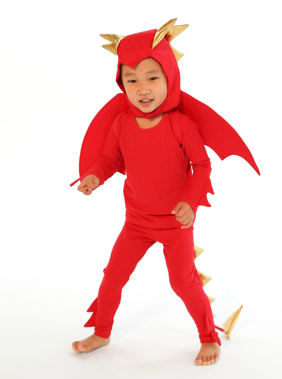 Red Dragon Costume by Band of the Wild