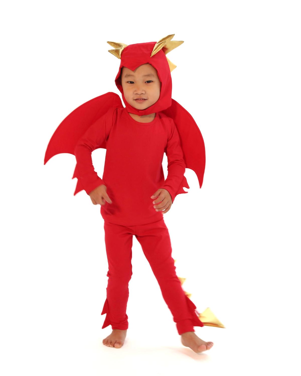 Red Dragon Costume by Band of the Wild