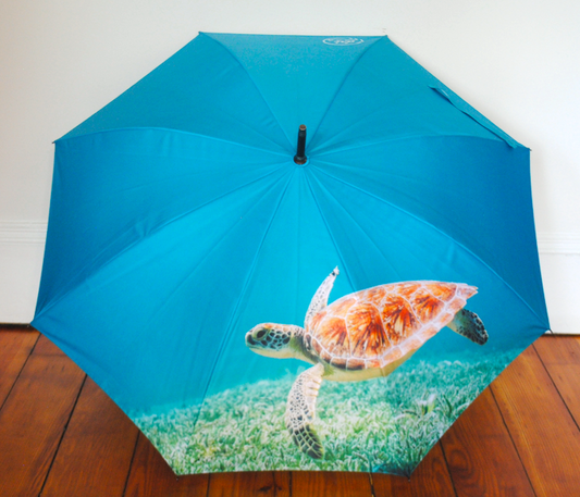 Shelly the Sea Turtle by Dri Umbrellas