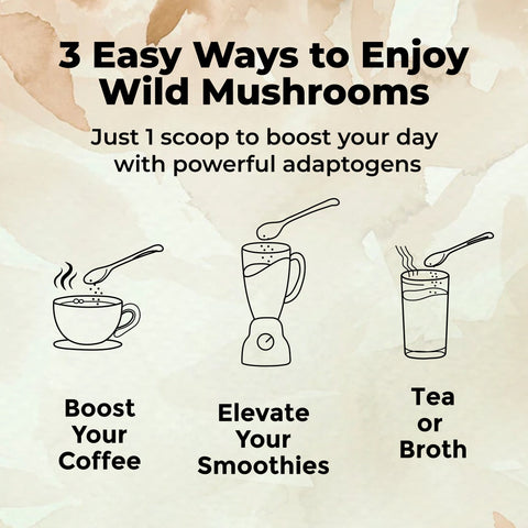 Wholesale: Master Shrooms Five Mushrooms Blend - Adaptogens + Prebiotic Powerhouse by Wild Foods