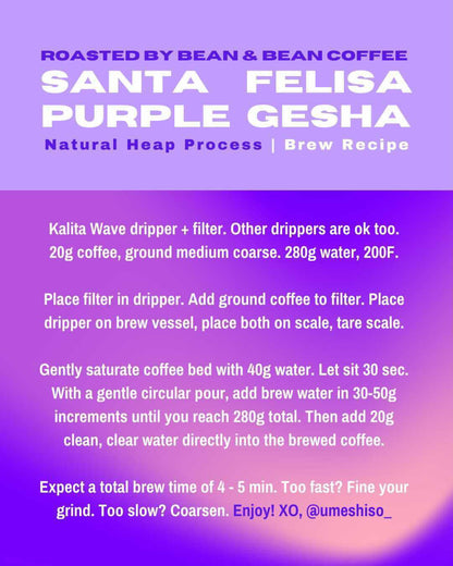 Santa Felisa Gesha Natural Heap Coffee by Bean & Bean Coffee Roasters