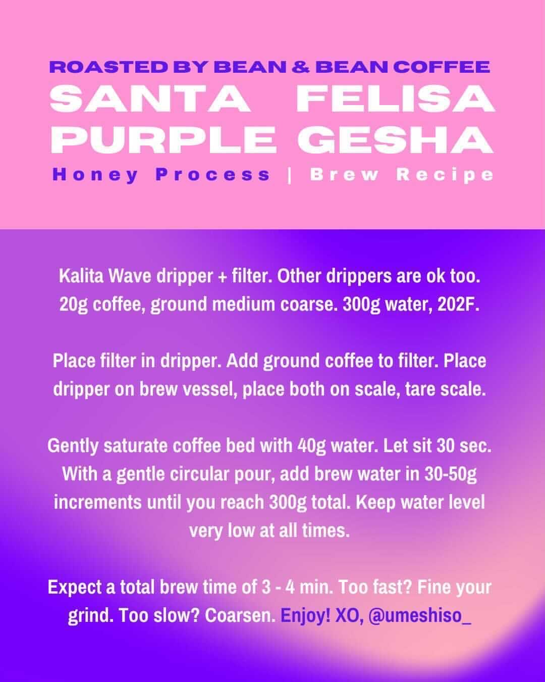 Santa Felisa Gesha Honey Coffee by Bean & Bean Coffee Roasters