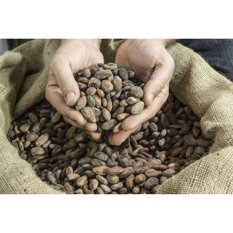 Wild Cocoa Powder - Organic from Peru, Single-Origin, Small farmers by Wild Foods