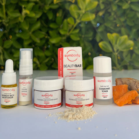 5 Steps to Perfect Skin Organic Mini Kit by Sumbody Skincare