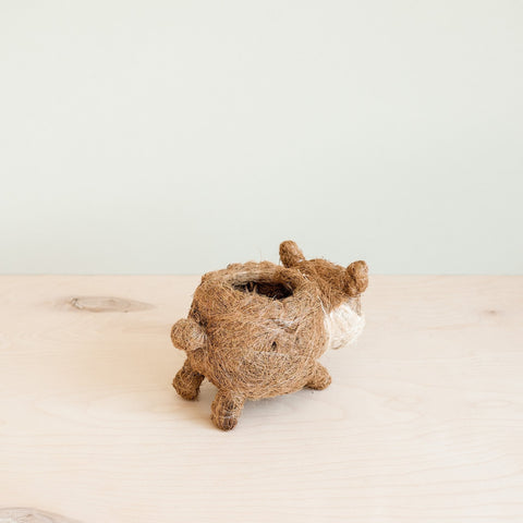 Baby Corgi Succulent Pot - Handmade Planters | LIKHÂ by LIKHÂ