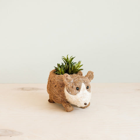 Baby Corgi Succulent Pot - Handmade Planters | LIKHÂ by LIKHÂ