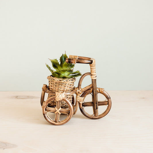 Bicycle Rattan Planter, small - Handmade Planters | LIKHÂ by LIKHÂ