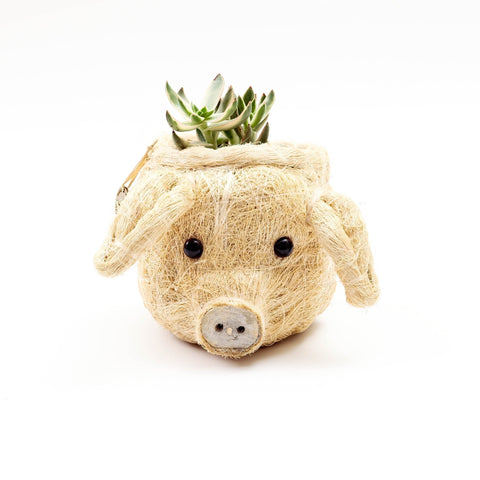 Pig Plant Pot - Animal Head Plant Pot | LIKHÂ by LIKHÂ