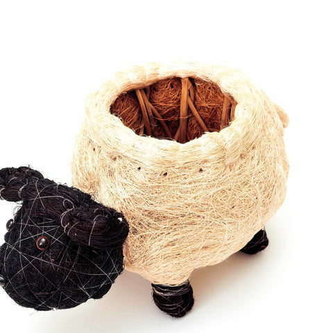 Sheep Planter - Coco Coir Pots | LIKHÂ by LIKHÂ