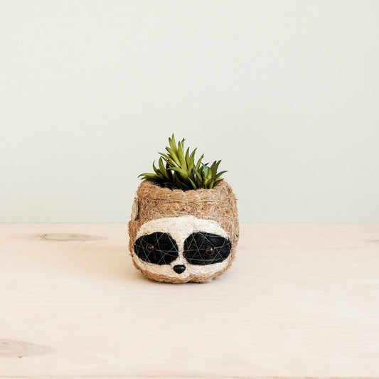 Three-tone Sloth Coco Coir Planter - Handmade Planters | LIKHÂ by LIKHÂ