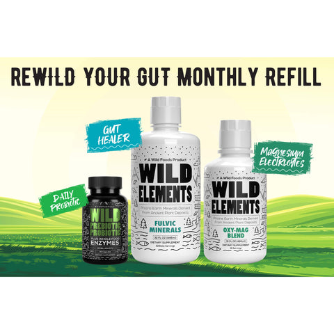 reWILD Your Gut Bundle by Wild Foods