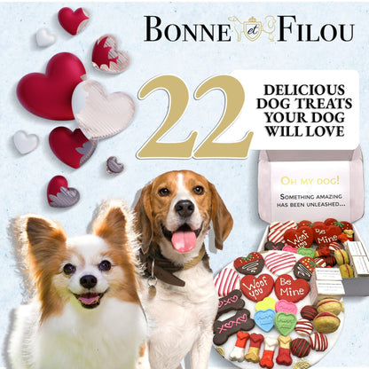 Valentine's Themed Dog Treats Box by Bonne et Filou