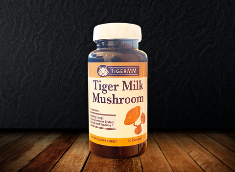 Tiger Milk Mushroom by CULTUREShrooms