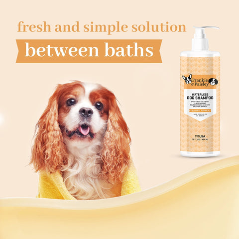Waterless Dog Shampoo - Colloidal Oatmeal - 16oz by  Los Angeles Brands