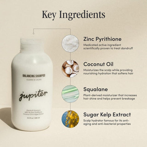 Dandruff Shampoo, with 1% Zinc Pyrithione, Coconut Oil &  Algae Extract, 9.5 Fl oz - LoveMore